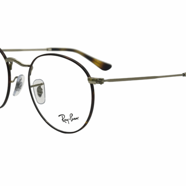 Ray Ban RB 3447V 3194