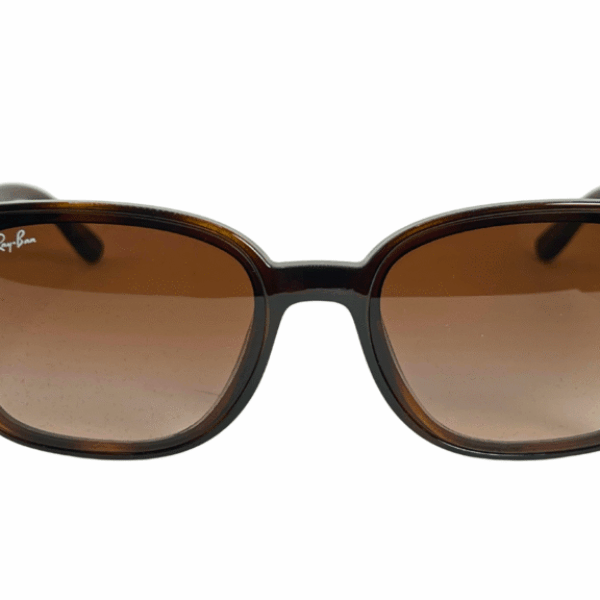Ray Ban RB 4461D 710/13 3N