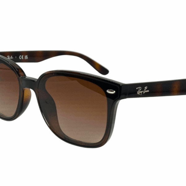 Ray Ban RB 4461D 710/13 3N