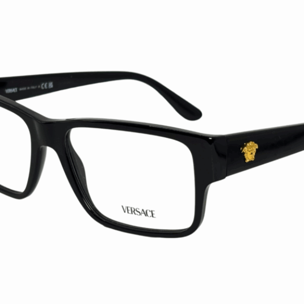 VERSACE 3342 5360