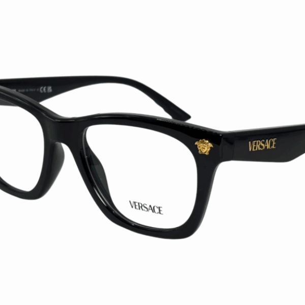 VERSACE 3363-U BG1