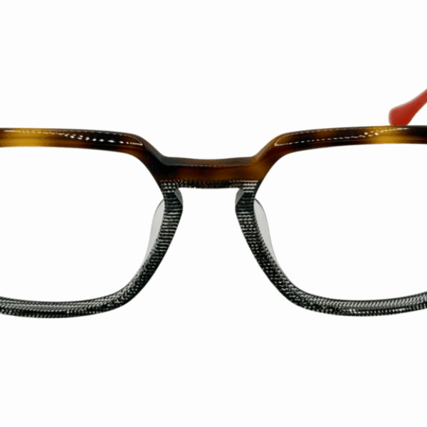 Xavier Garcia AEDES 01