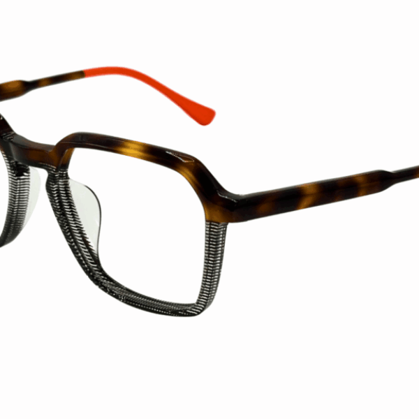 Xavier Garcia AEDES 01