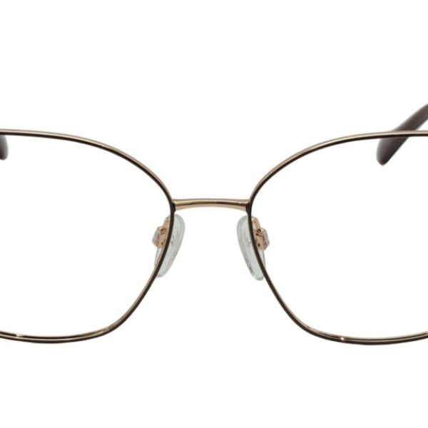 Ana Hickmann AH1499 09A