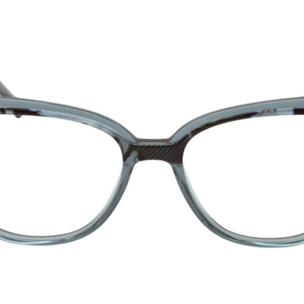 Ana Hickmann AH6506 G21