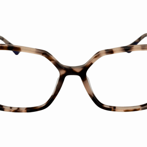 Xavier Garcia BLATTA 02