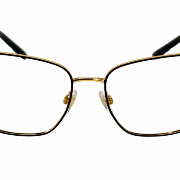 DOLCE&GABBANA DG 1346 1311