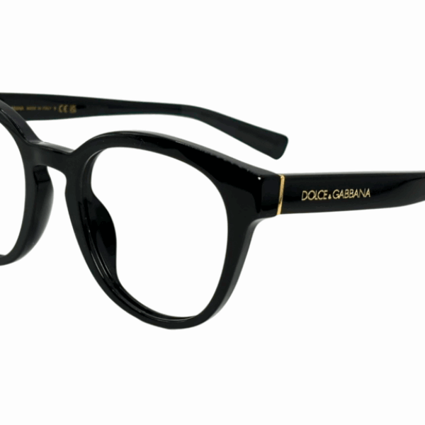 DOLCE&GABBANA DG 3421 501