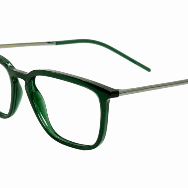 DOLCE&GABBANA DG 5098 3008