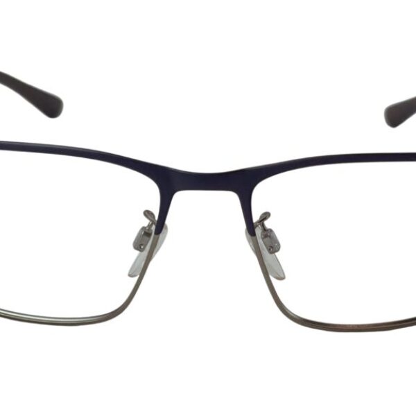 Emporio Armani EA 1131 3155