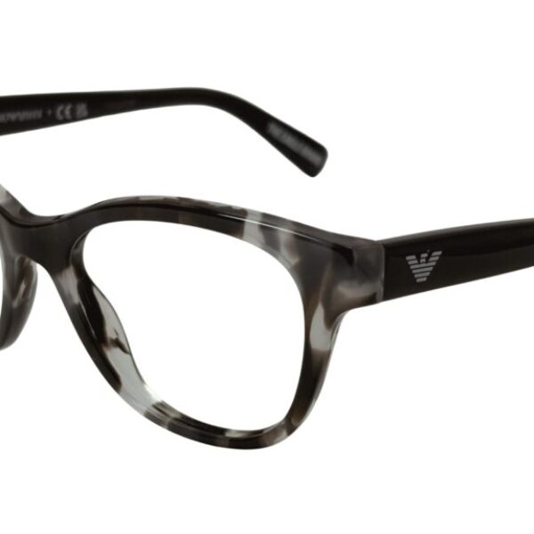Emporio Armani EA 3162 5193