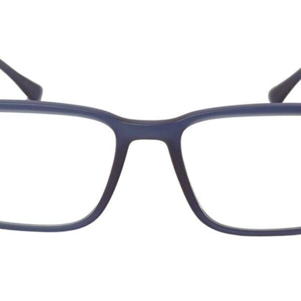 Emporio Armani EA 3169 5842