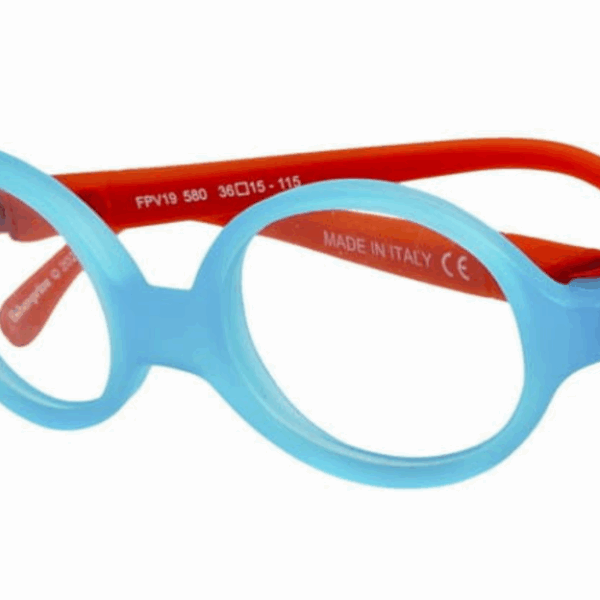 FISHER PRICE FPV 19 580