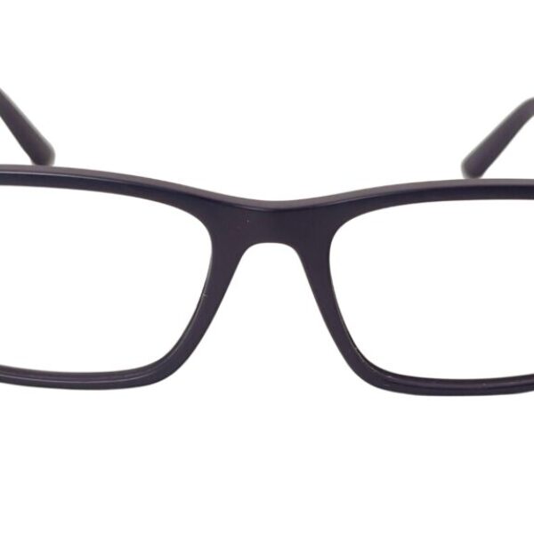 Polo Ralph Lauren PH 2212 5303