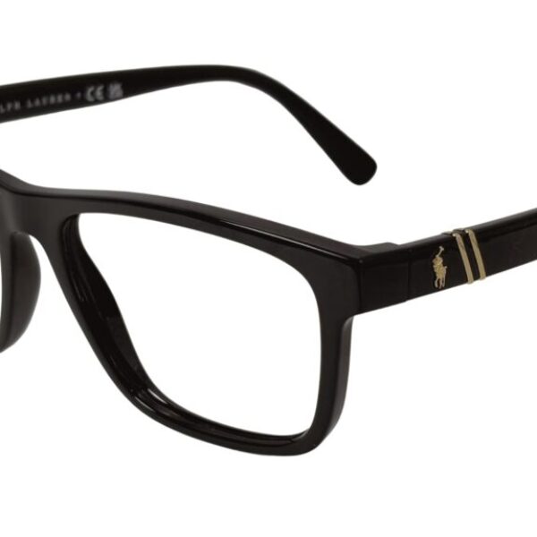 Polo Ralph Lauren PH 2230 5001
