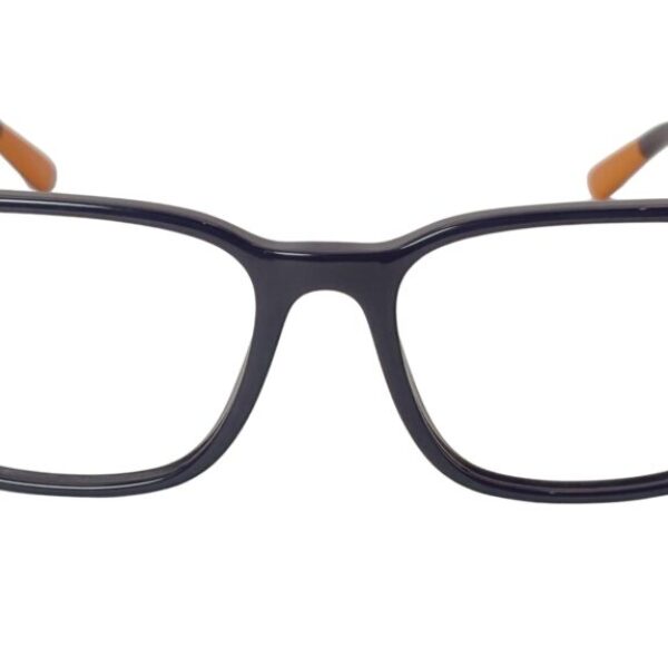 Polo Ralph Lauren PH 2234 5905