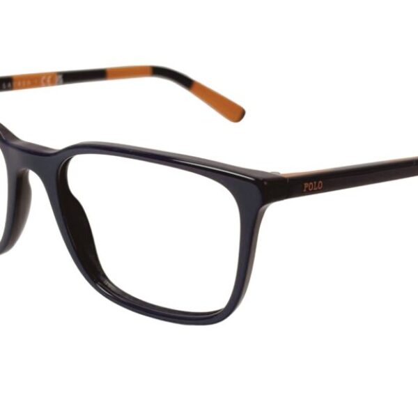 Polo Ralph Lauren PH 2234 5905