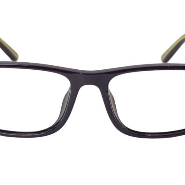 Polo Ralph Lauren PH 2239U 5620