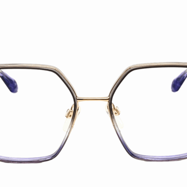 ANA HICKMANN AH1569 C01